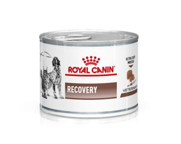 Royal Canin Recovery – 195gr