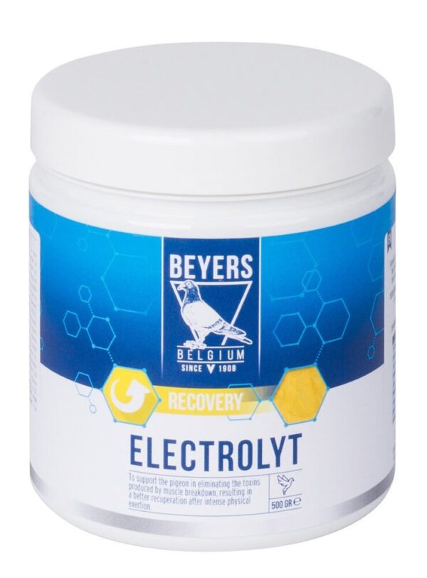 Electrolyt Beyers 500gr