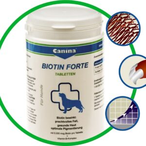 https://in-pet.rs/wp-content/uploads/2023/03/Biotin-Forte-300x300.jpg