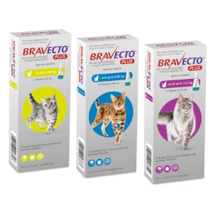 https://in-pet.rs/wp-content/uploads/2026/09/bravecto-cat-urban-pets-1000x1000.jpg-300x300.webp