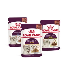 https://in-pet.rs/wp-content/uploads/2026/10/rc-cat-sensory-mix-550x550w.jpg-300x300.webp